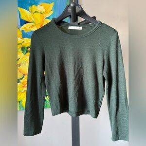 Wilfred free Aritzia cropped top. Reposa fabric in scarab